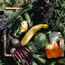 a basket of vegetables